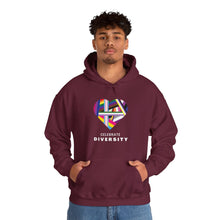 Load image into Gallery viewer, Celebrate Diversity Hoodie