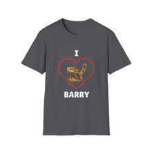Load image into Gallery viewer, Custom Barry Shirt
