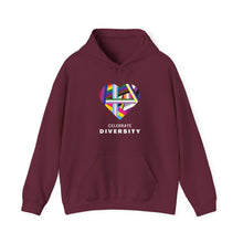 Load image into Gallery viewer, Celebrate Diversity Hoodie