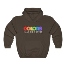Load image into Gallery viewer, Colors Have No Gender Hoodie