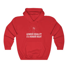 Load image into Gallery viewer, Gender Equality is a Human Right Hoodie