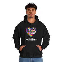 Load image into Gallery viewer, Celebrate Diversity Hoodie
