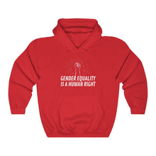 Load image into Gallery viewer, Gender Equality is a Human Right Hoodie
