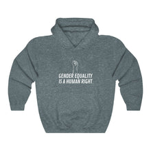 Load image into Gallery viewer, Gender Equality is a Human Right Hoodie
